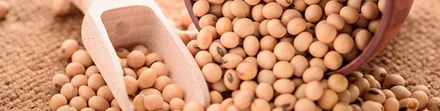 Trade Soybean CFDs with a leading broker at Avatrade.com